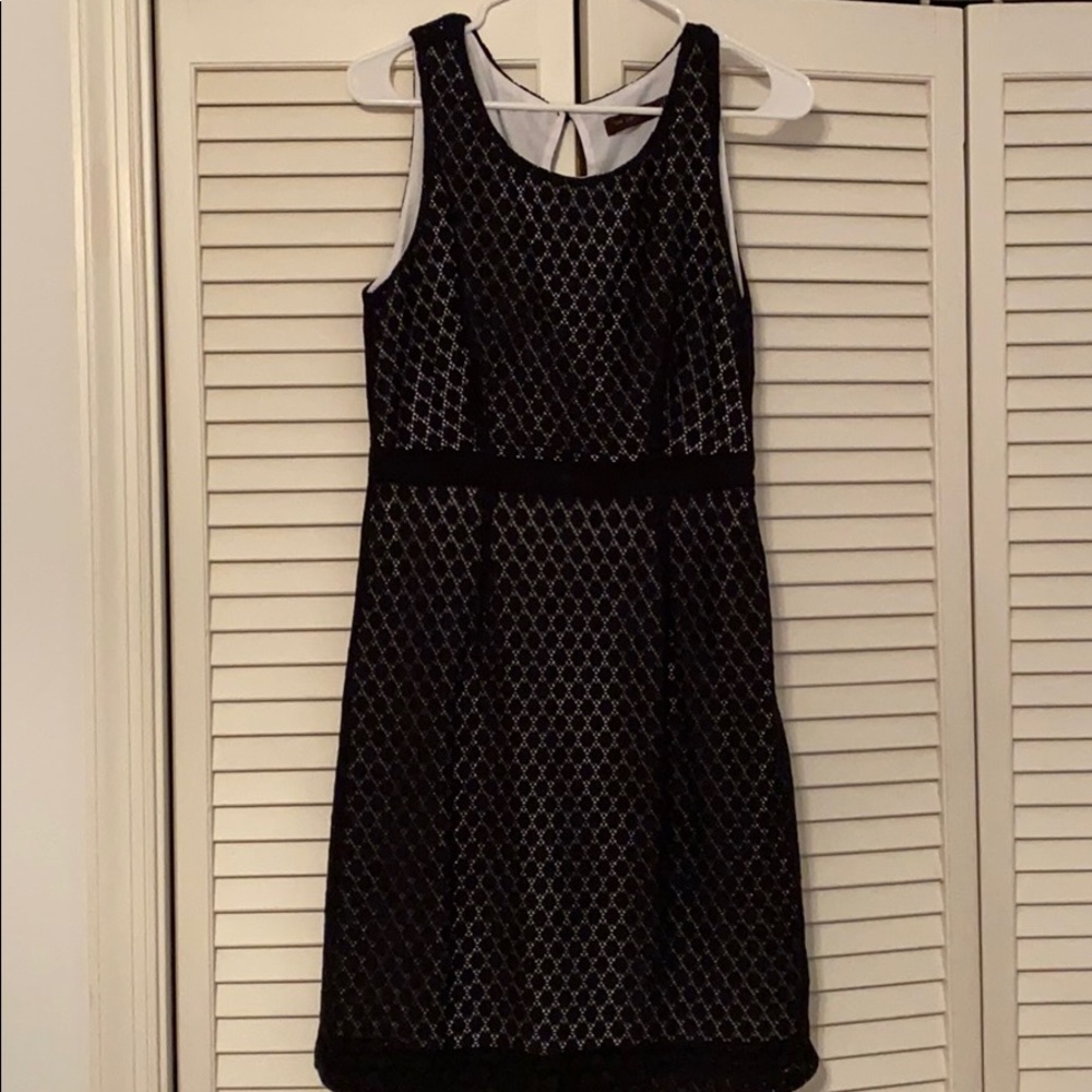The Limited Sleeveless Sheath Dress Black & White